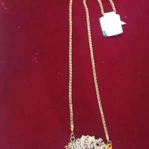 Sizzing Gold Covering Dollar Chain