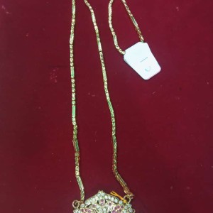 Sizzling Gold Covering Dollar Chain
