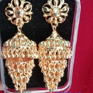 Elite Charming Ear Ring