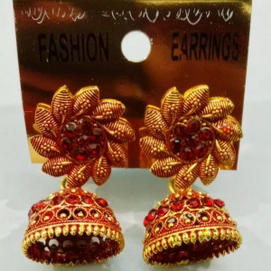 Fancy Earing