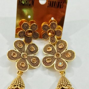 Fancy Earing