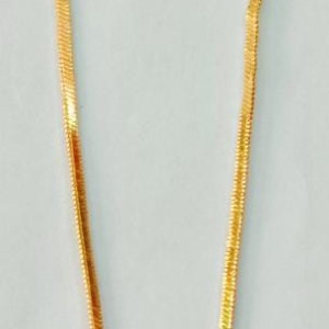 Short Dollar Chain