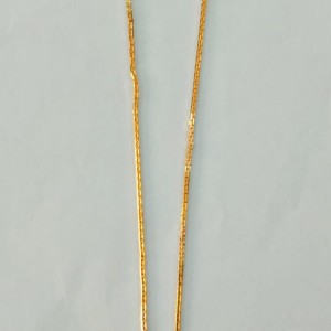 Short Dollar Chain