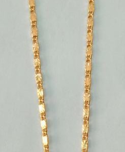 Short Dollar Chain