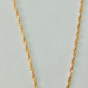 Short Dollar Chain