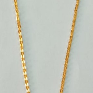 Short Dollar Chain
