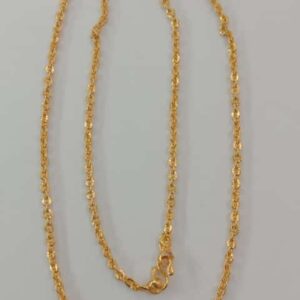 Short chain SC0020